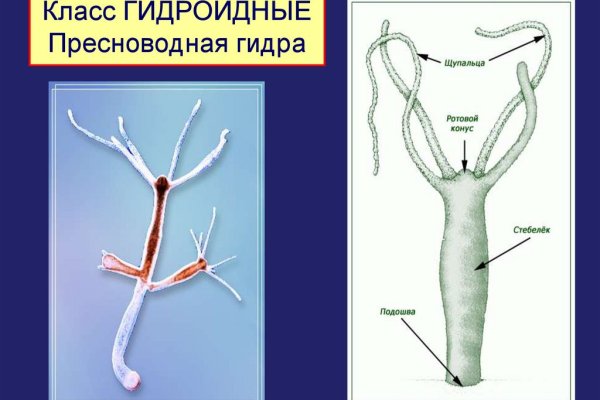 Как восстановить аккаунт на кракене