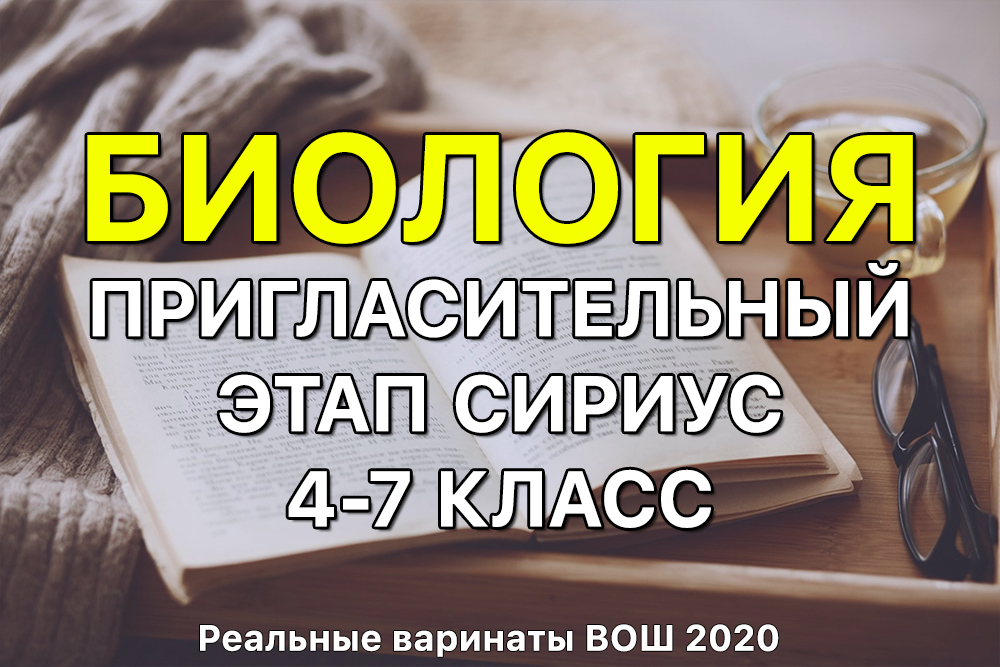 Как восстановить доступ к аккаунту кракен